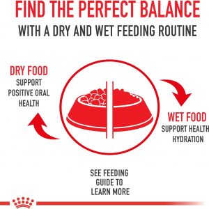 Royal Canin Golden Retriever Adult Dry Dog Food, 30 lb bag