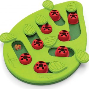 Catstages by Nina Ottosson Buggin’ Out Puzzle & Play – Interactive Cat Treat Puzzle